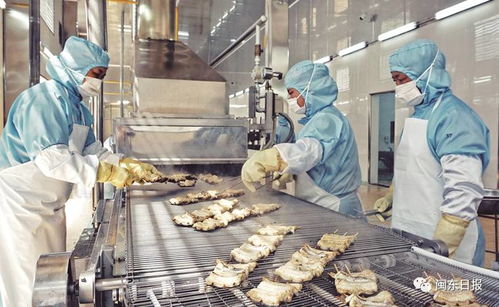 開發三都澳 建設新寧德 三同工程助力水產加工業轉型升級,東僑提升配套服務北部新區產業發展